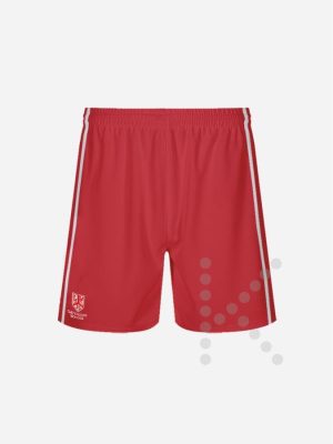 P.E. Shorts