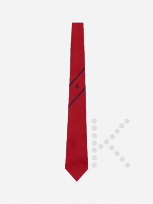 Yr 11 Tie