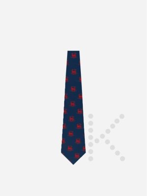 Sixth Form Tie