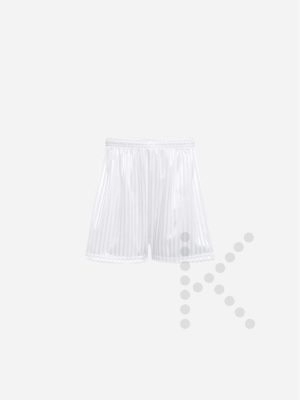 Shadow Stripe P.E. Shorts (White)