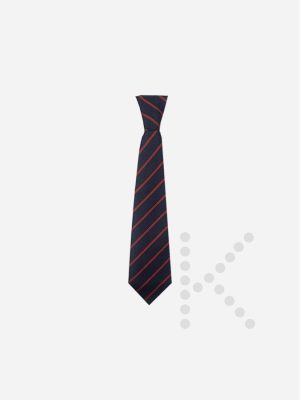 Elastic Tie