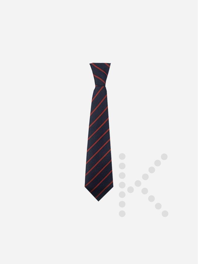 Elastic Tie