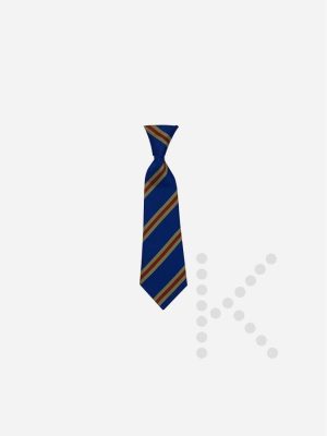 Elastic Tie