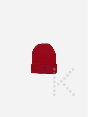 Winter Hat