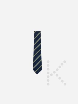 Years 5 to 10 House Ties