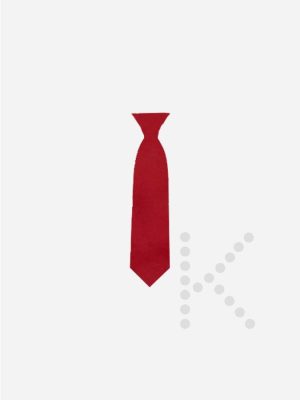 Elastic Tie