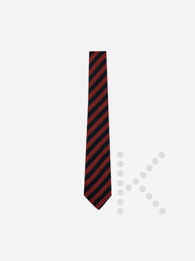 Years 7 to 9 Tie