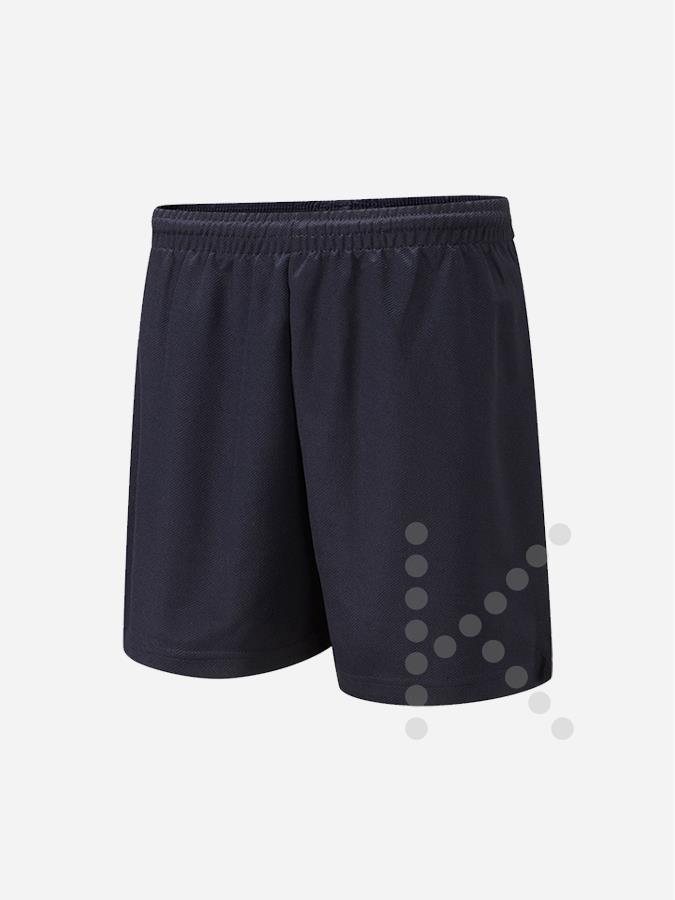 P.E. Shorts (Navy)