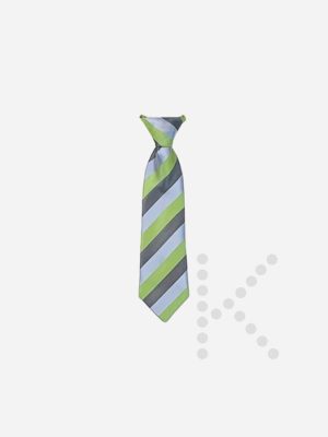 Elastic Tie