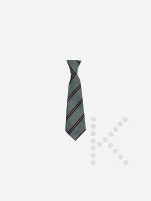 Elastic Tie