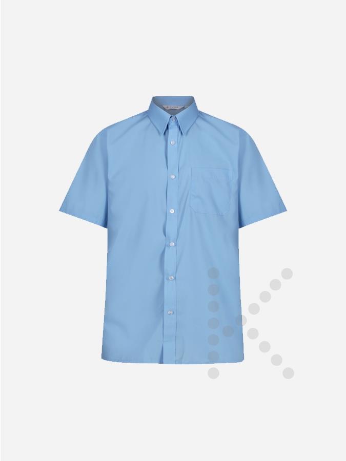 Short Sleeve Blue Shirts (Twin Pack)