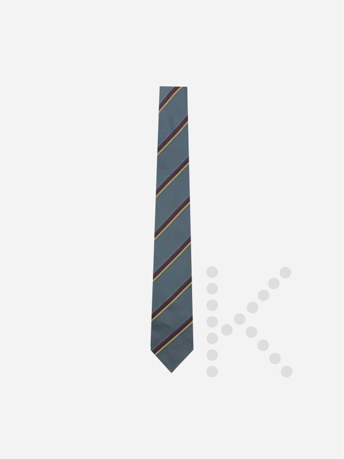 Years 7 to 9 Tie